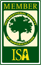 International Society of Arboriculture member badge