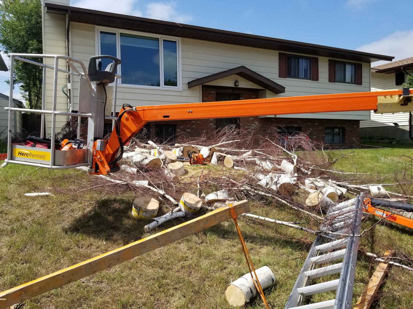 Crew removing a large tree with a crane lifting cut sections